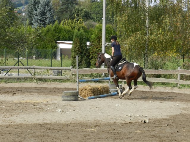 Babie Lato 2016